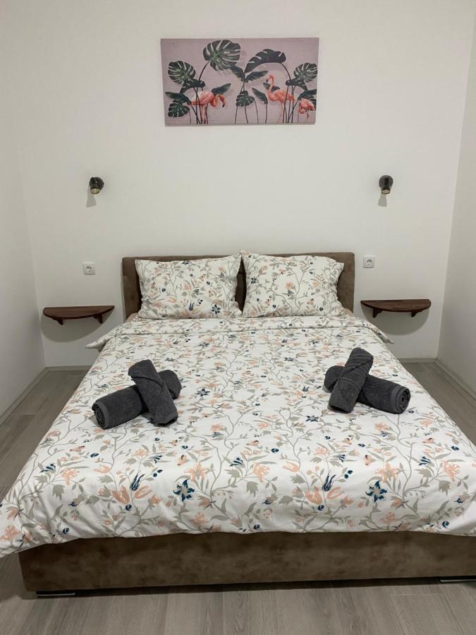 Lotus House Apartment Zrenjanin Exterior photo